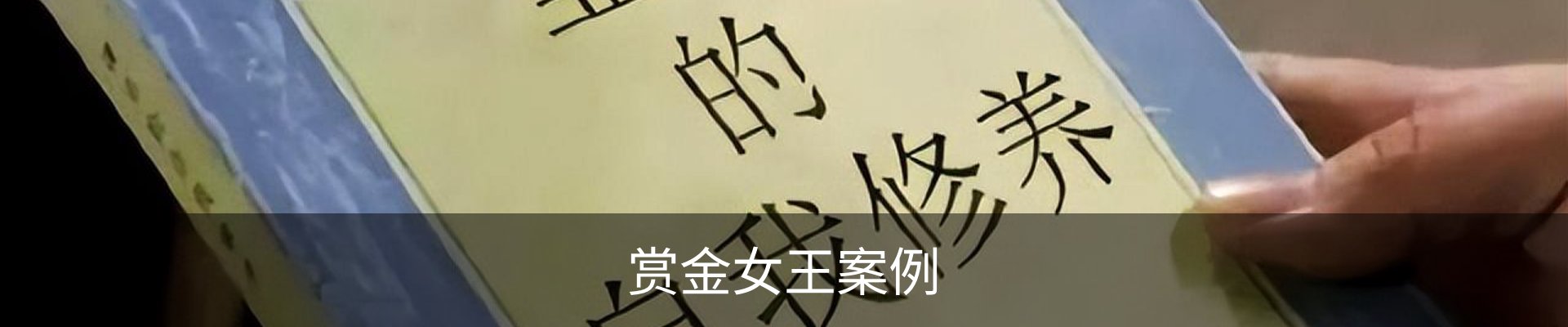 赏金女王案例